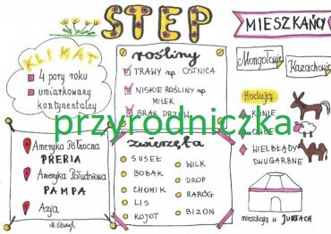 Step (3 karty pracy)