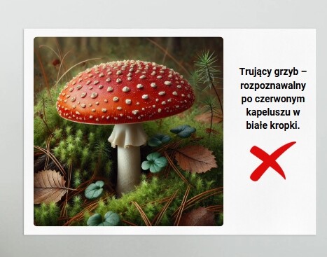 Kącik ekologiczny. Tablice z ilustracjami zwierząt, ptaków, ryb, owadów. Wystawa różnych gatunków.