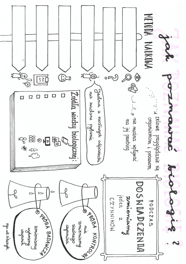 Biologia klasa 5. Jak poznawać biologię? 3 karty