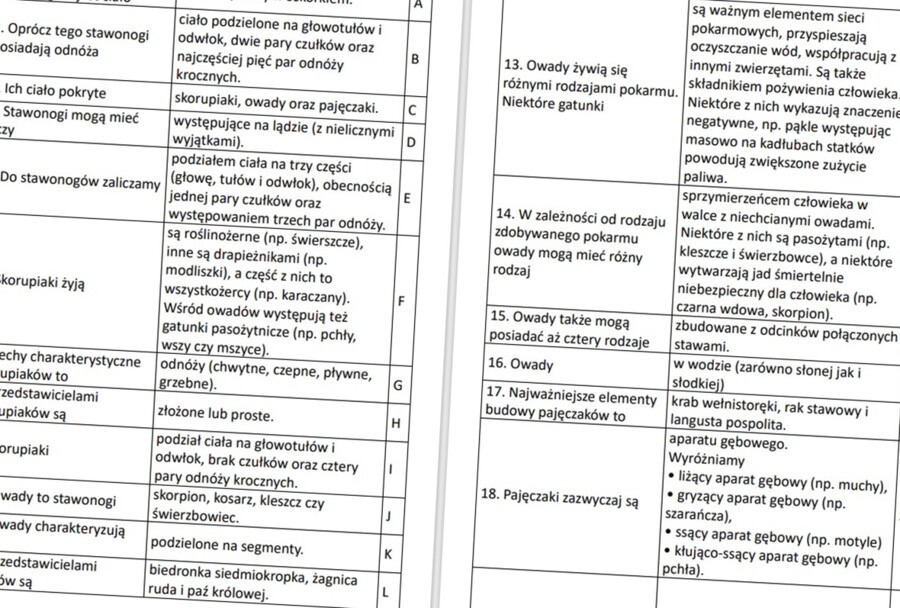 Stawonogi i mięczaki (rozsypanka)