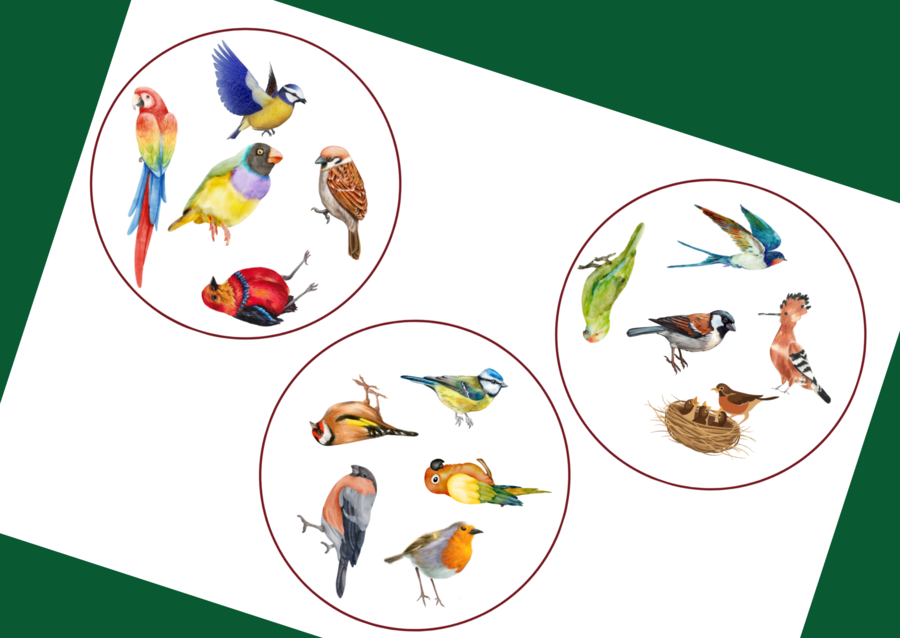 DZIEŃ PTAKÓW – dooble – WIOSNA - biblioteka – świetlica – przedszkole – 36 szt.