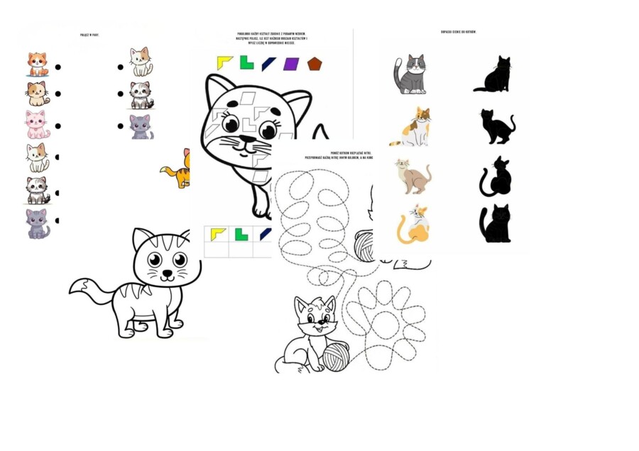 DZIEŃ KOTA – MEGA PAKIET EDUKACYJNY