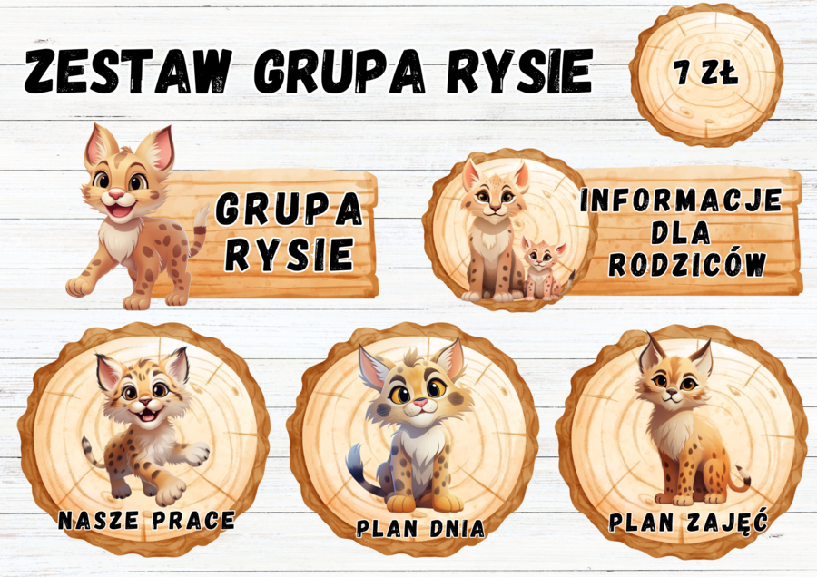 ZESTAW GRUPA RYSIE