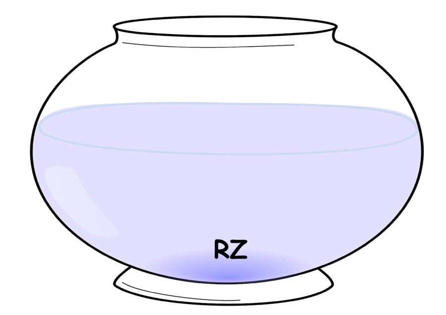 Gra ortograficzna - rybki