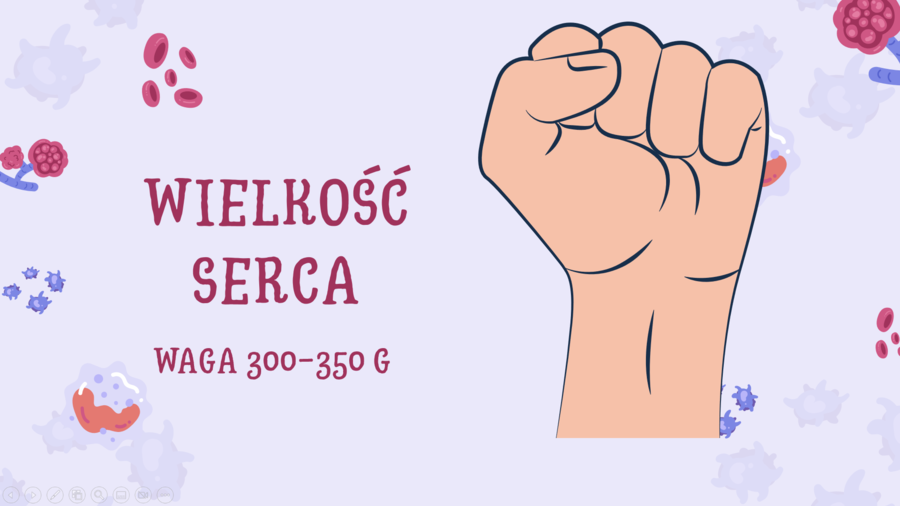 Prezentacja z układu krwionośnego - Budowa i działanie serca - klasa 7 SP - plik do pobrania