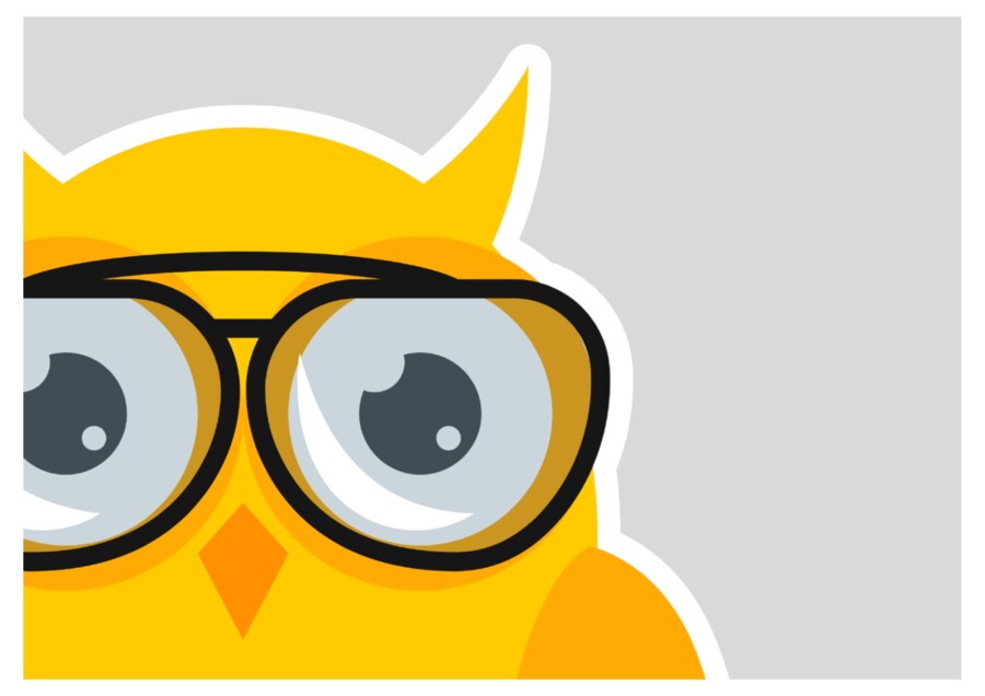 DRUŻYNA ŻYCZLIWYCH SÓWEK - zestaw materiałów