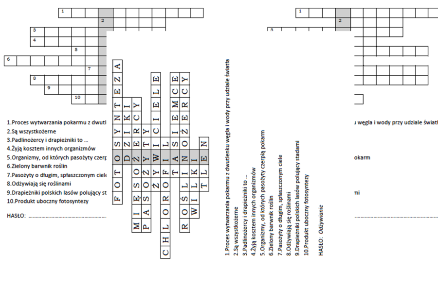 Logogryf dla klasy 4 na podsumowanie lekcji o odżywianiu organizmów