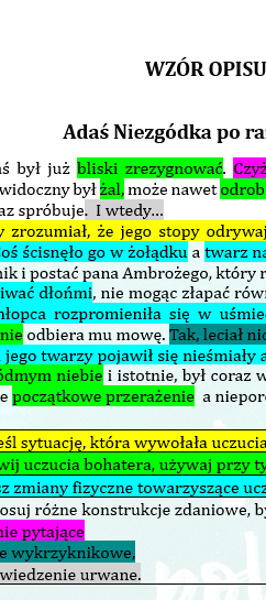 OPIS PRZEŻYĆ WEWNĘTRZNYCH W KLASACH 4-8