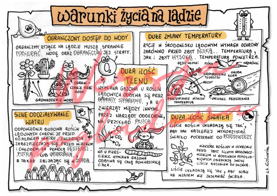Warunki życia na ladzie -przyroda kl. 4 -wypełniona karta pracy