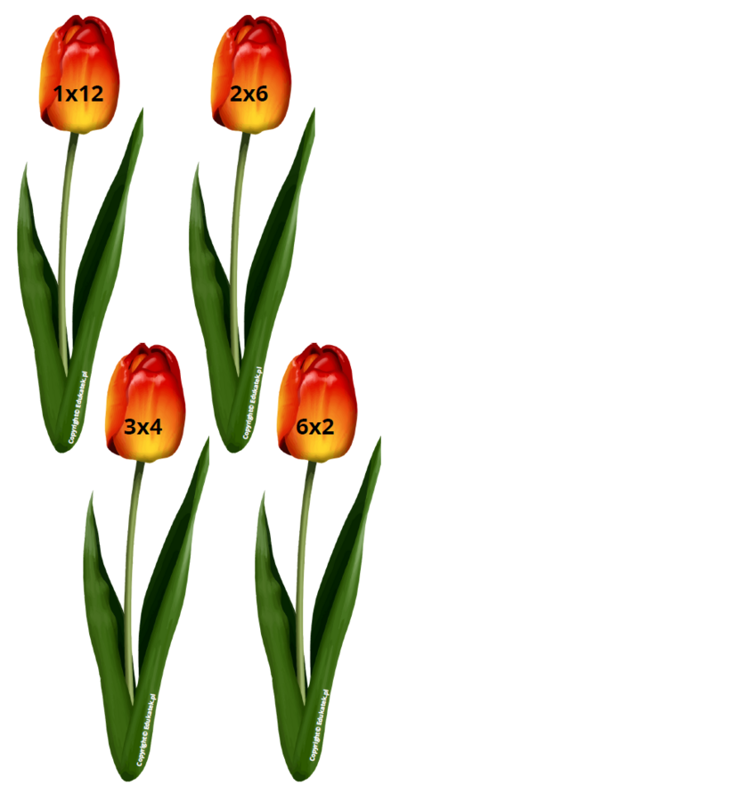 Wiosenna tabliczka mnożenia – doskonalenie tabliczki mnożenia