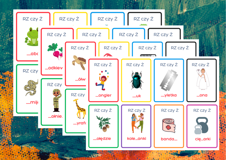 KARTY ORTOGRAFICZNE - RZ/Ż - 80 szt. - ortografia