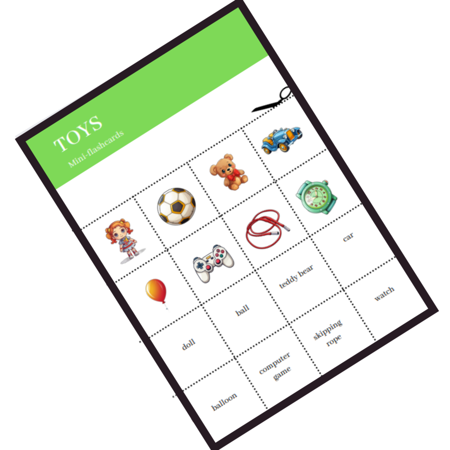 Karty obrazkowe i wyrazowe TOYS