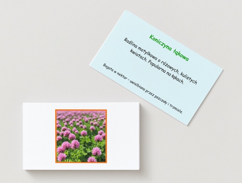 Memory z gatunkami zwierząt i roślin. Rośliny, zwierzęta, owady.