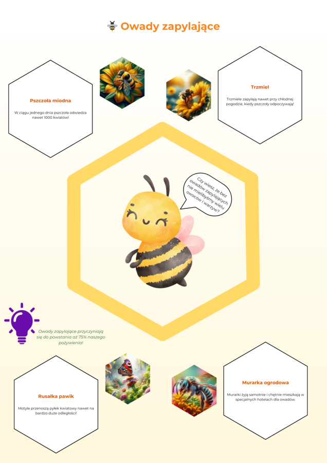 Plansze edukacyjne. Zwierzęta i rośliny chronione. Ekosystemy.