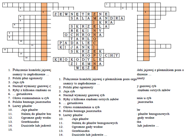 Logogryf dla klasy 6 z hasłem Zmiennocieplne