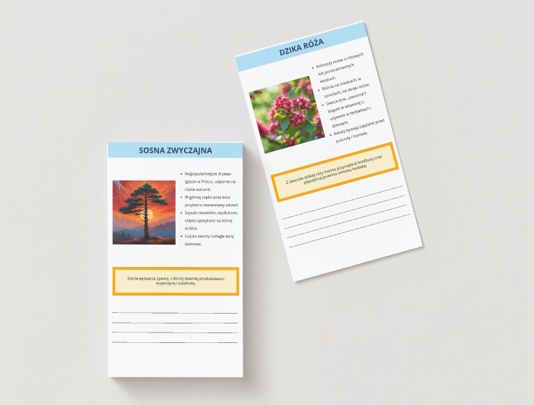 Karty z infografiką lokalnej fauny i flory. Gatunki roślin i zwierząt