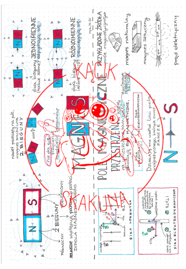 Magnes i pole magnetyczne - FIZYKA - MAGNETYZM - notatka/rysnotka/sketchnotka/infografika