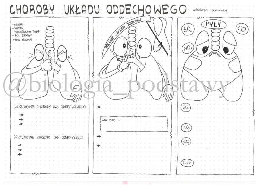 Klasa 7 - Choroby układu oddechowego - kp