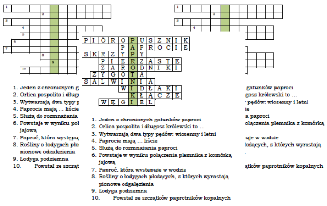 Logogryf na podsumowanie lekcji o paprotnikach