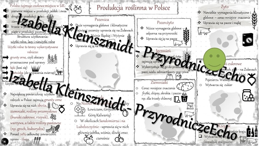 Sketchnotka - notatka „Produkcja zwierzęca” wykonana w power point do edycji. Geografia 7; „Rolnictwo i przemysł”