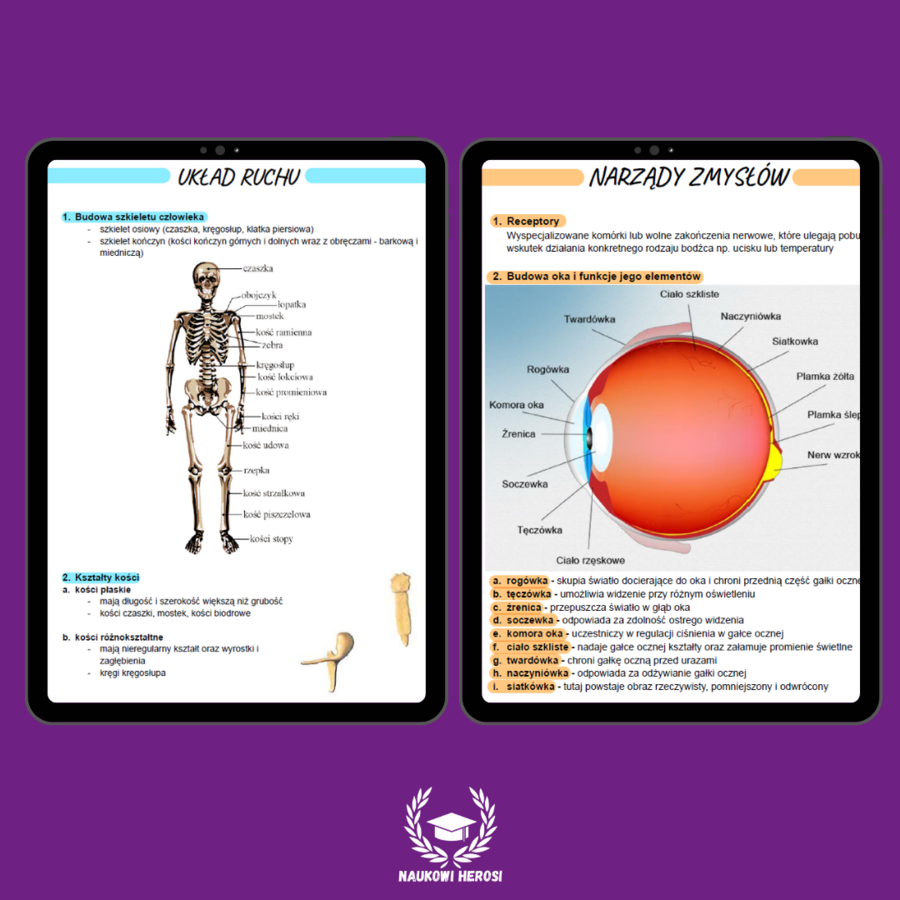 Notatki maturalne - Biologia