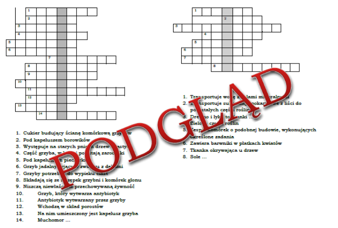 Logogryfy do lekcji Tkanki roślinne