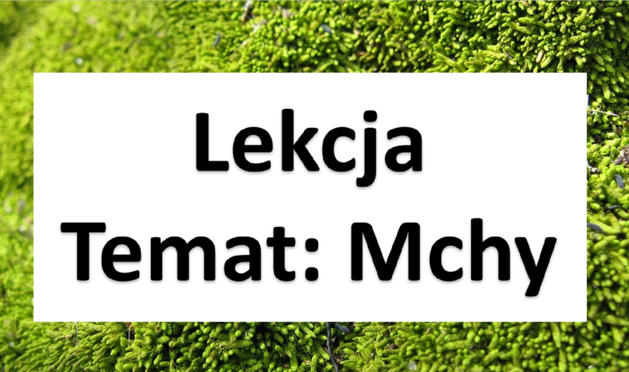 Klasa 5 - Zestaw "Mszaki"