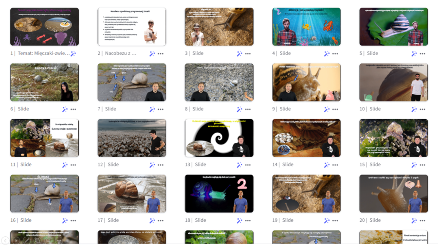 Prezentacja multimedialna w genial.ly „Mięczaki-zwierzęta, które mają muszlę” – do edycji i pobrania – biologia klasa VI, dział III – temat 5