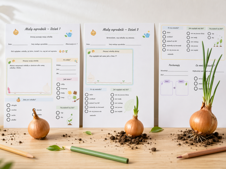 Mały ogrodnik - karta obserwacji cebulki