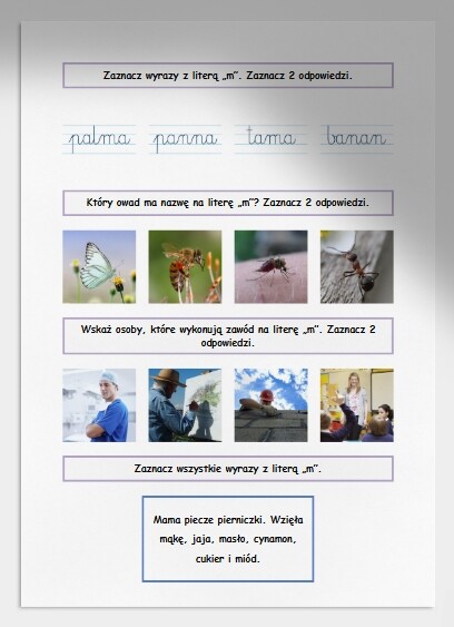 M i m. Karta pracy. Sprawdzian