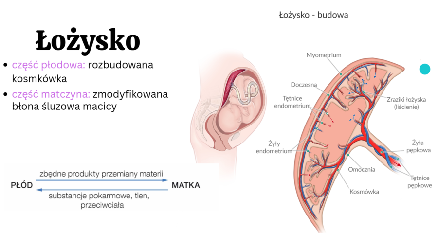 KLASA 3 rozszerzenie - PAKIET NA CAŁY ROK