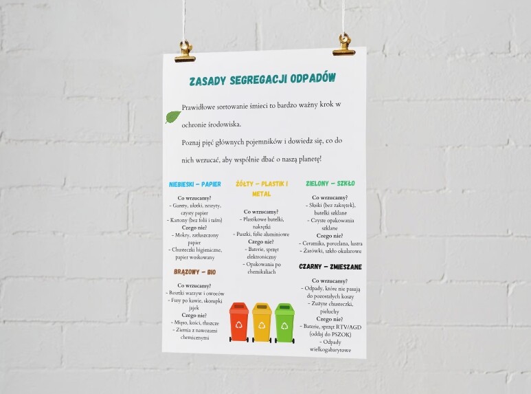 Infografiki edukacyjne. Zasady segregacji odpadów. Obieg wody w przyrodzie. Dlaczego pszczoły są ważne?