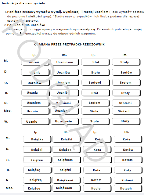 Przypadkowy pociąg- odmiana rzeczownika i przymiotnika przez przypadki.
