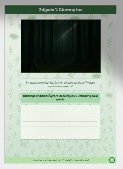 Materiały ilustracyjne – „Które zdjęcie pasuje do wiersza?”. Zdjęcia lasów/ścieżki