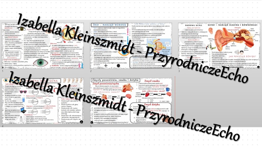 Zestaw sketchnotek – notatek do całego działu „Narządy zmysłów” wykonanych w power point do edycji. Biologia 7