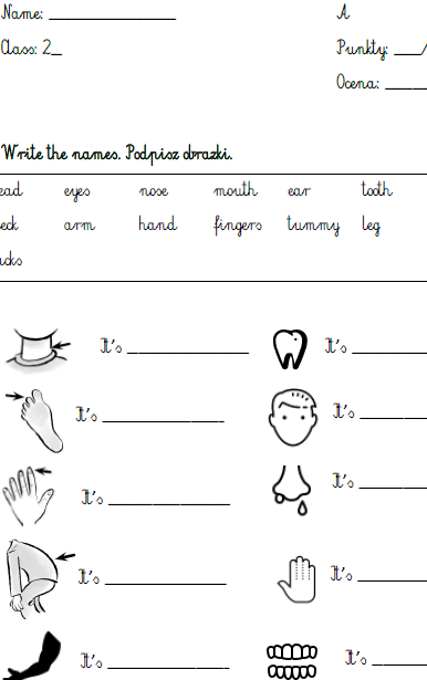 Kartkówki Bugs Team 2 unit 4 i 5