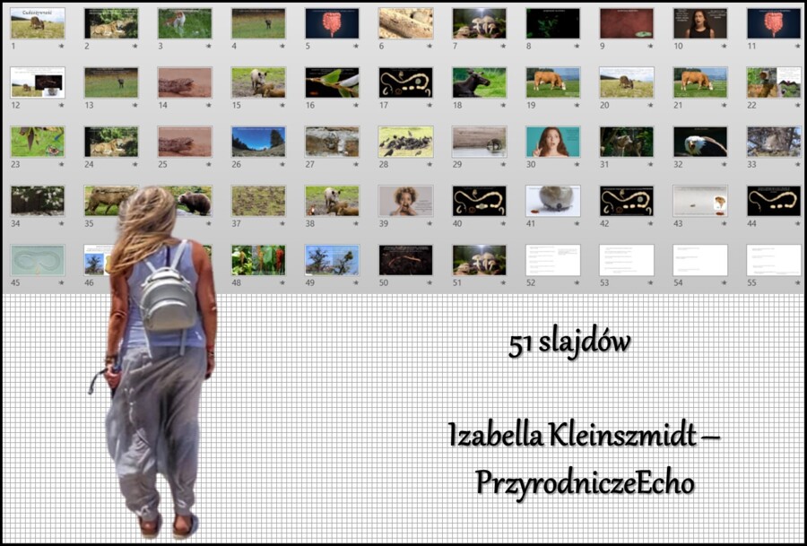 Prezentacja multimedialna w power point „Cudzożywność”. Biologia 5. Dział „Budowa i czynności życiowe organizmów”. Materiał wykonany na podstawie podręcznika z wydawnictwa Nowa Era – nowość 2024/2025.