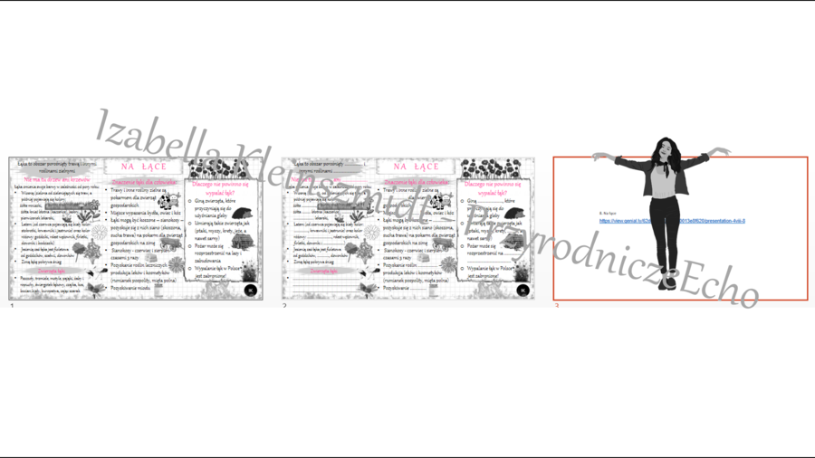 Mini zestaw do tematu „Na łące” - sketchnotka + karta pracy + gratisowy link do prezentacji multimedialnej niekomercyjnej wykonanej w genial.ly do indywidualnego pobrania i użycia do celów niekomercyjnych. Przyroda klasa 4, dział VIII „Odkrywamy tajemnic