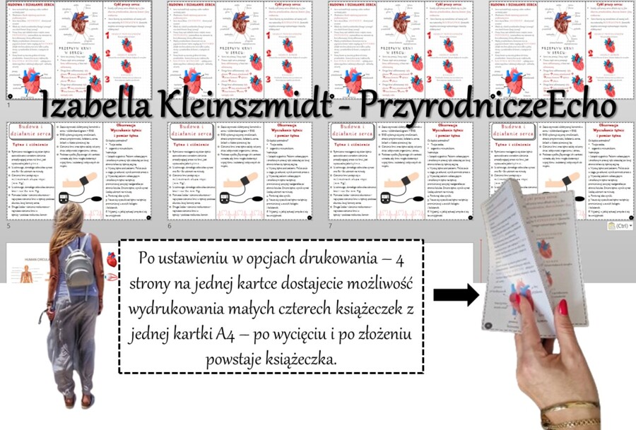 Broszurka/notatka/sketchnotka/wklejka/ściąga dla ucznia/przypomnienie dla nauczyciela w pdf – do stworzenia książeczki. Biologia 7 „Układ krążenia” – „Budowa i działanie serca ".