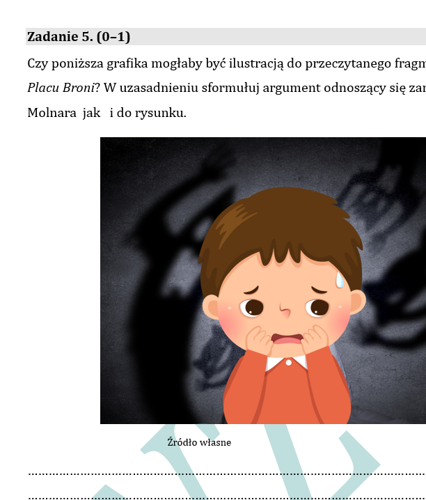 PRÓBNY EGZAMIN Z JĘZYKA POLSKIEGO JUŻ DLA SZÓSTOKLASISTY - CHŁOPCY Z PLACU BRONI