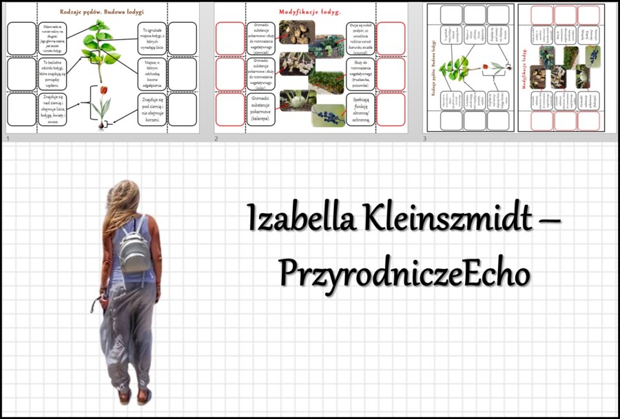 Notatka okienkowa „Budowa pędów”, "Budowa łodygi", " Pęd. Budowa i funkcje łodygi" w pdf. Biologia 5 dział „Tkanki i organy roślinne”.