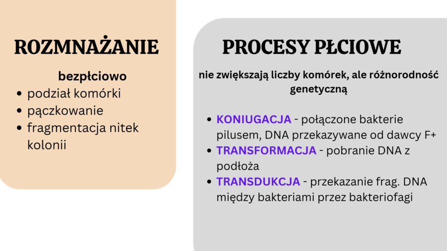 PAKIET: bakterie + protisty + grzyby + klasyfikacja organizmów 2 KLASA BIOLOGIA ROZSZERZONA