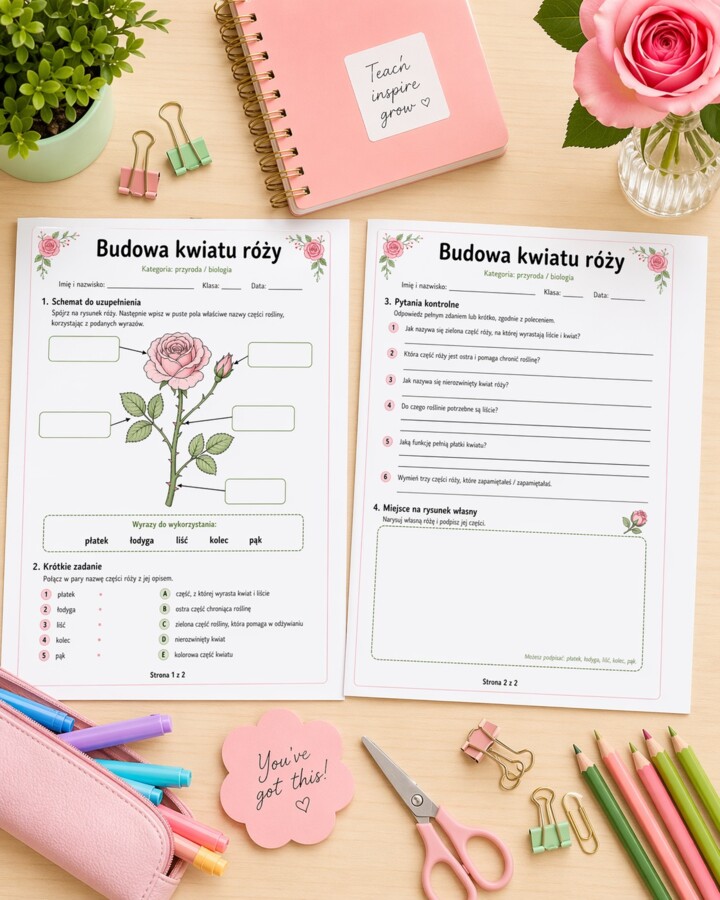 Budowa kwiatu róży