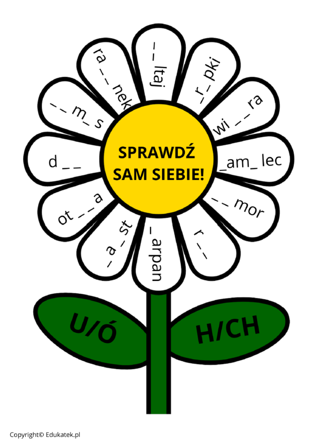 Zestaw ortograficzny – trudniejsze wyrazy