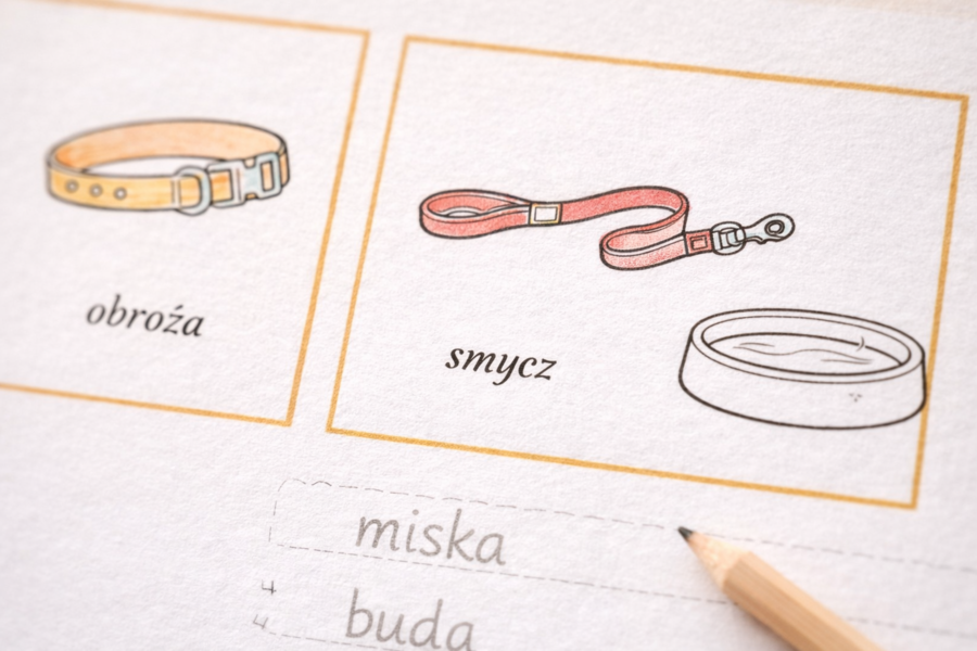 Miska, smycz, piłka – słowniczek małego opiekuna psa