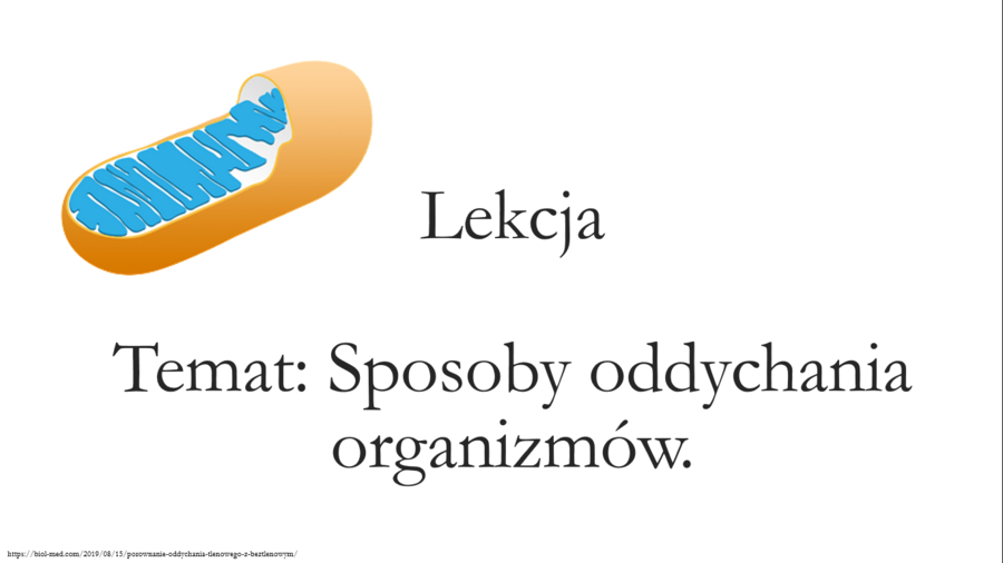 Klasa 5 - Sposoby oddychania organizmów - prezentacja