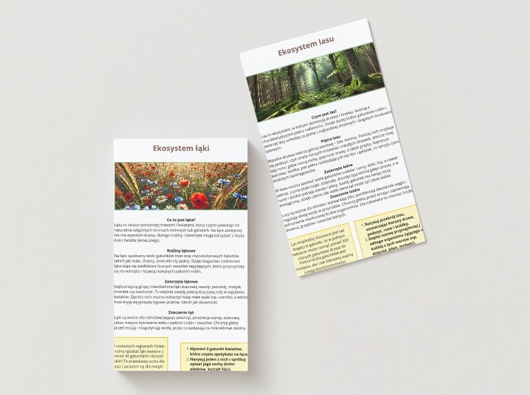 Ekosystemy (łąka, las, jezioro)