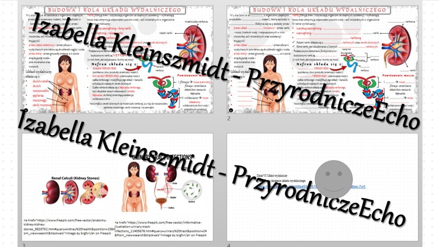 Minizestaw na temat „Budowa i działanie układu wydalniczego” – sketchnotka + karta pracy w power point + gratisowy link do prezentacji multimedialnej niekomercyjnej wykonanej w genial.ly do indywidualnego pobrania i użycia do celów niekomercyjnych. Biolo