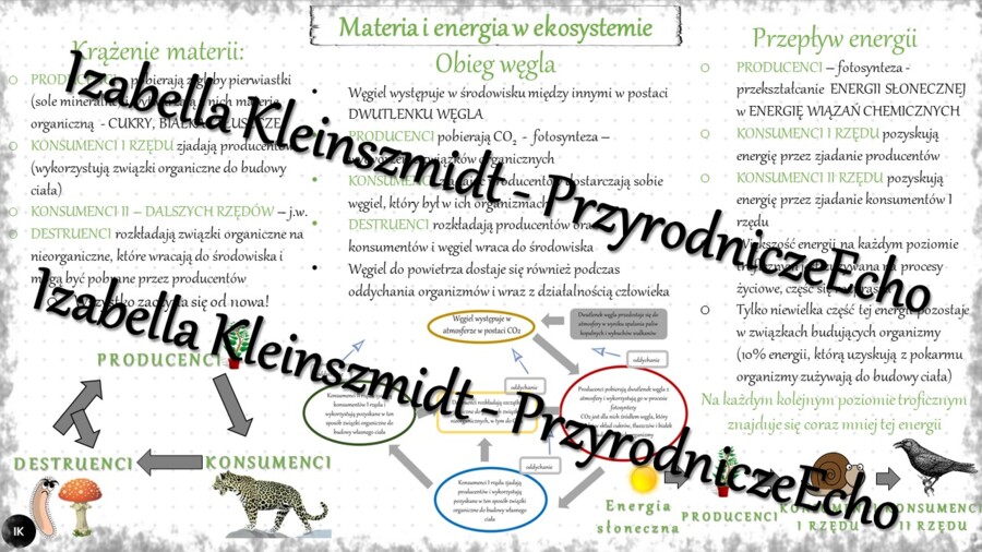 Sketchnotka - notatka „Materia i energia w ekosystemie” wykonana w power point do edycji. Biologia 8; „EKOLOGIA”