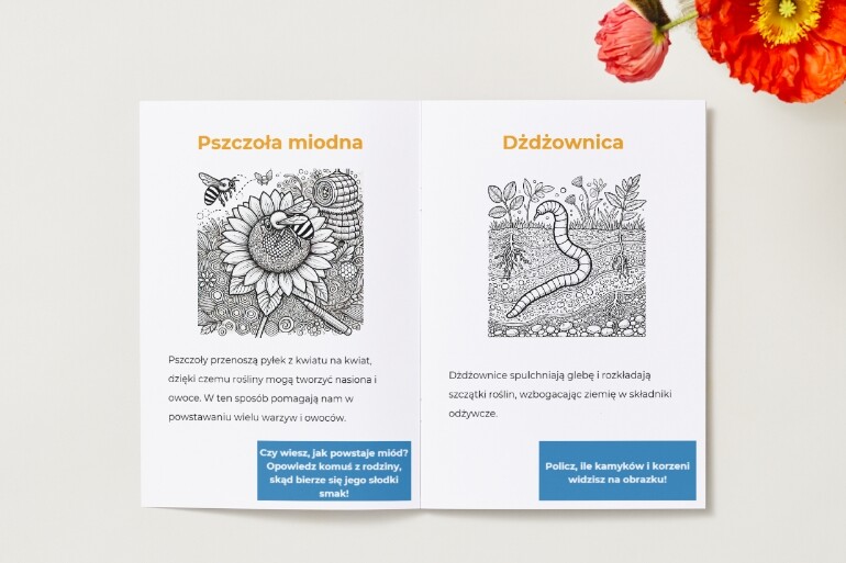 Kolorowanki z elementami edukacyjnymi. Zwierzęta. Ciekawostki. Rola zwierząt w ekosystemie